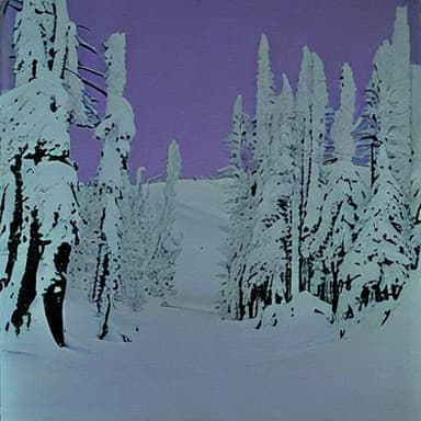 Andy Warhol Style Example 8